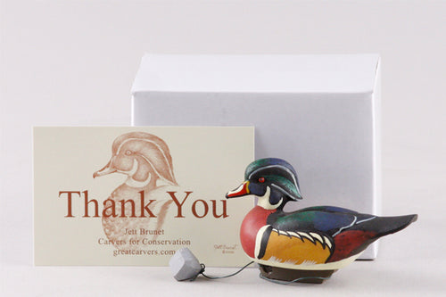 Jett Brunet AE Miniature Wood Duck