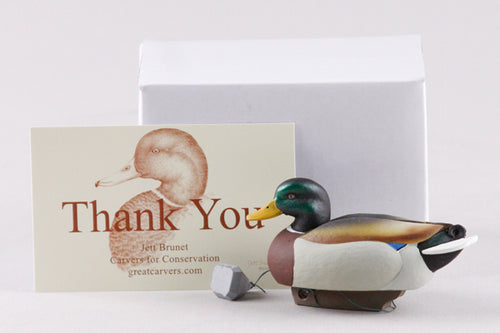 Jett Brunet AE Miniature Mallard